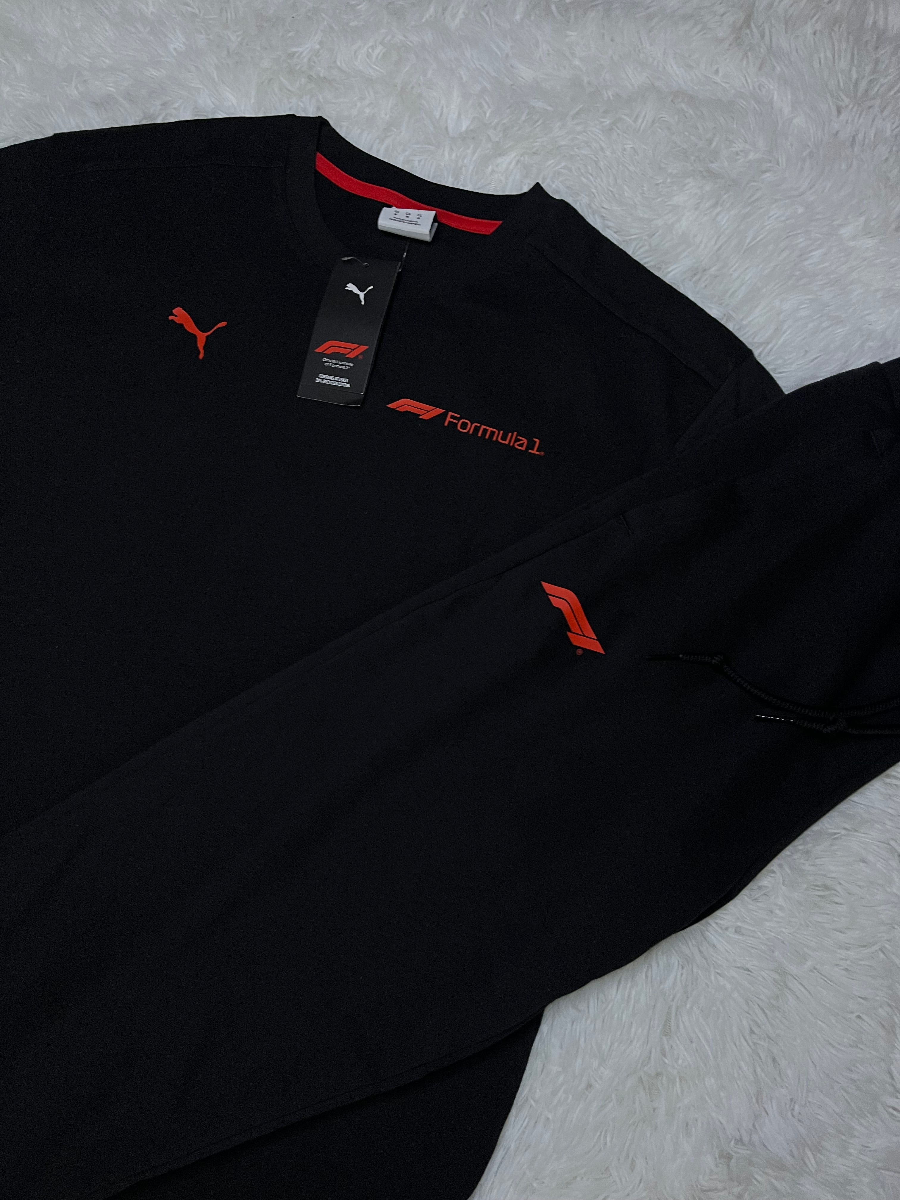 Conjunto puma Fórmula 1