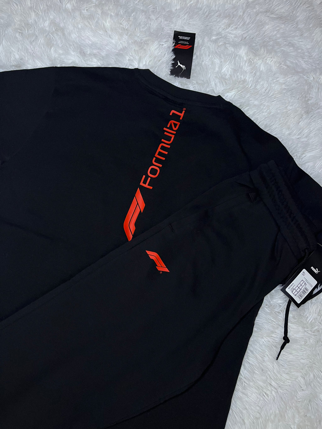 Conjunto puma Fórmula 1